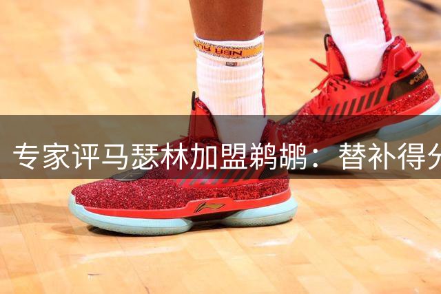 专家评马瑟林加盟鹈鹕：替补得分手定位适宜 阵容适配存疑