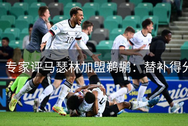 专家评马瑟林加盟鹈鹕：替补得分手定位适宜 阵容适配存疑